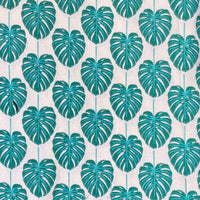 Monstera