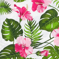 Hibiscus