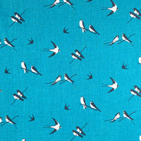 Hirondelle bleues